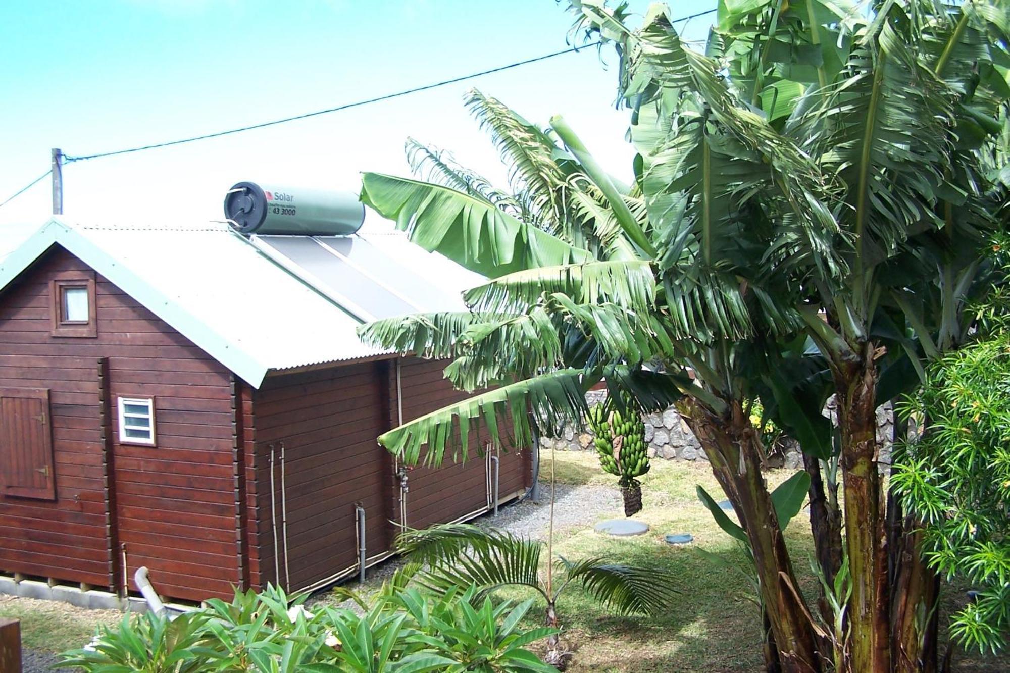 Les Bungalows Les Vanilliers, Sud Sauvage Avec Piscine Saint-Joseph Habitación foto