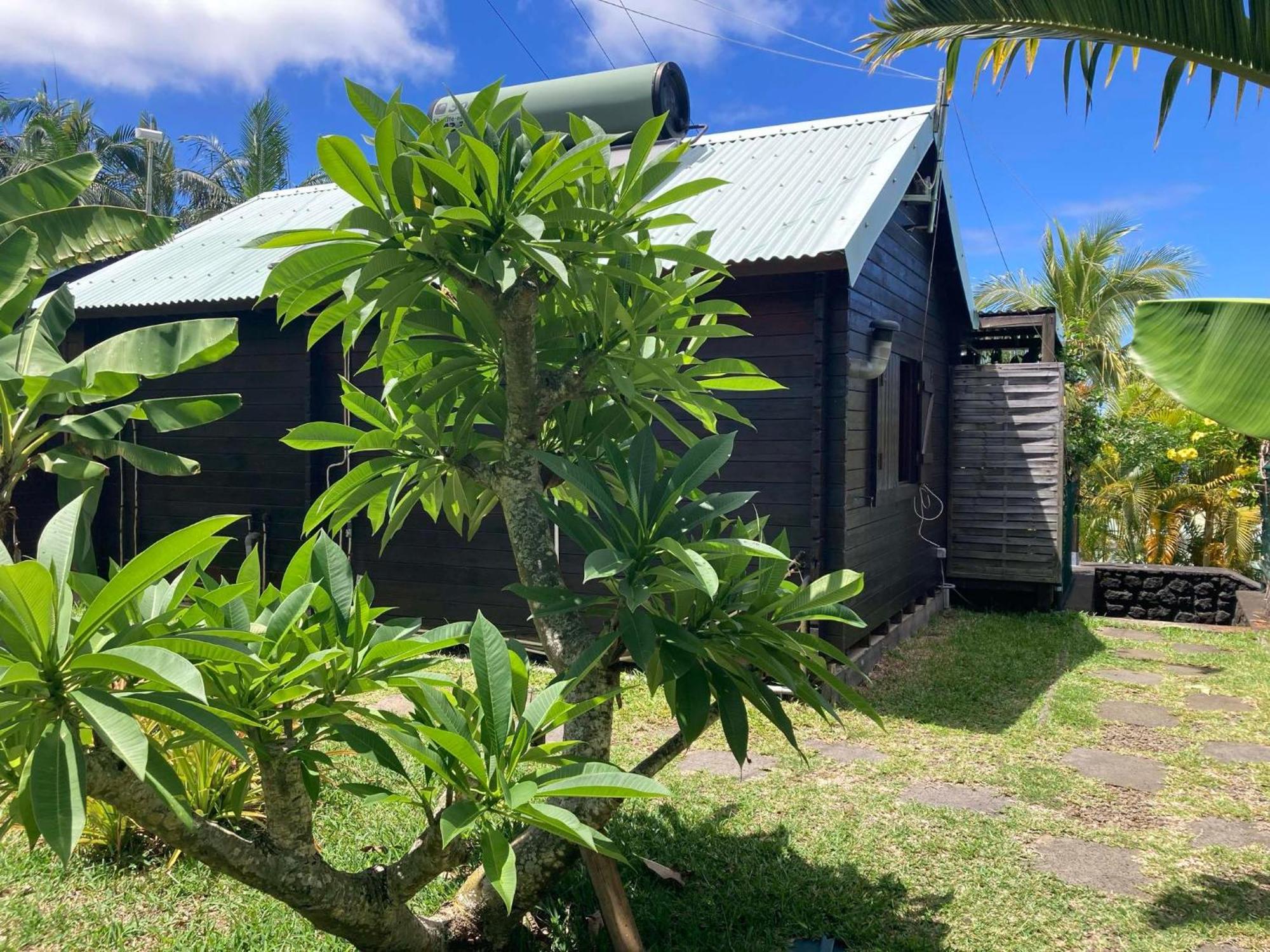 Les Bungalows Les Vanilliers, Sud Sauvage Avec Piscine Saint-Joseph Exterior foto